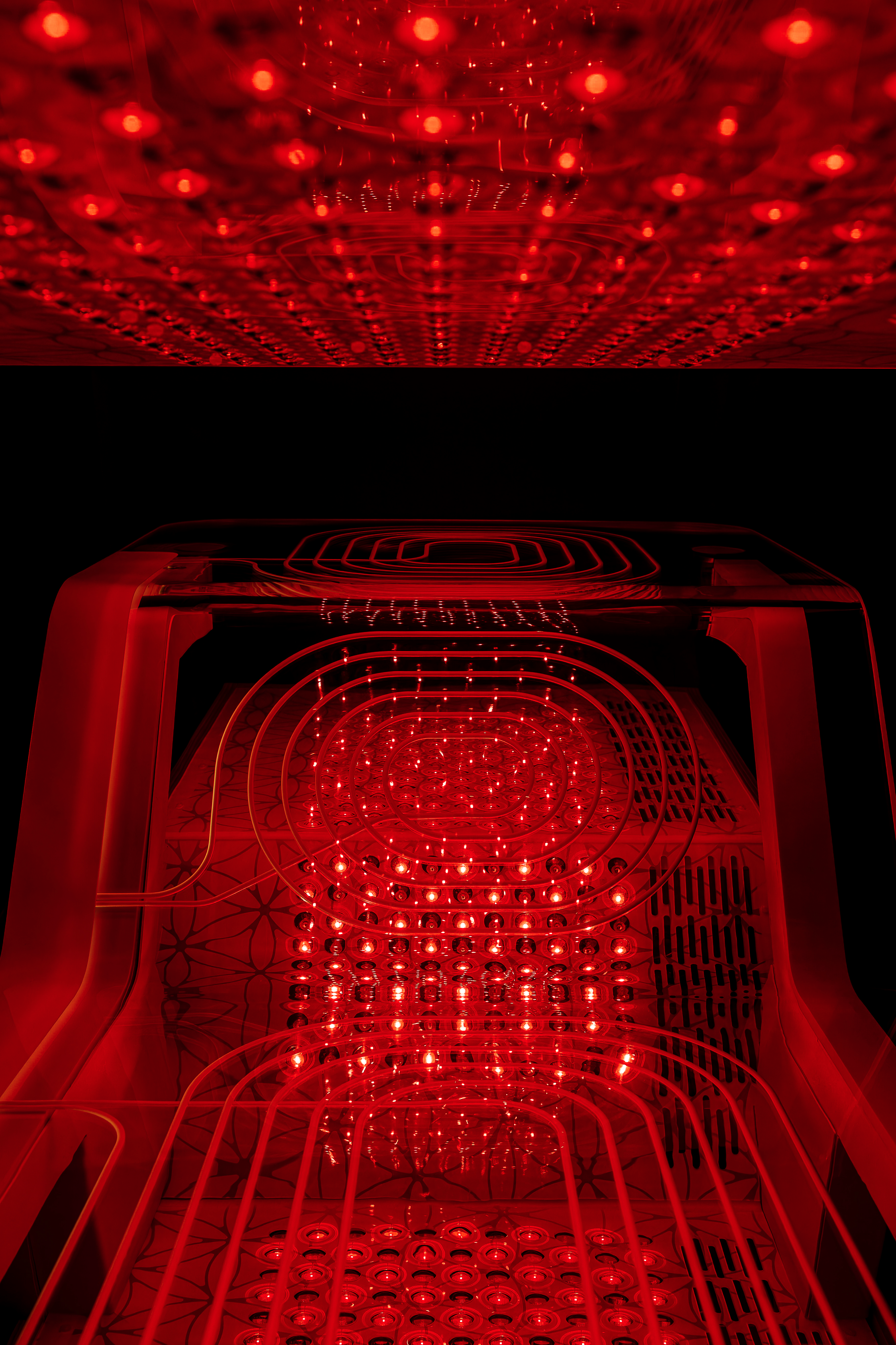 ammortal portland, bio-optimization, nervous system regulation, red light, pemf, hydrogen, next generation, wellness, surge wellness, portland wellness center 